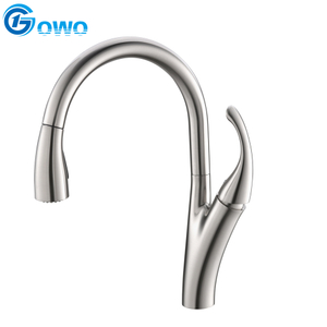 Brushed Nickel Brass Kitchen Faucet with Pull Out Sprayer