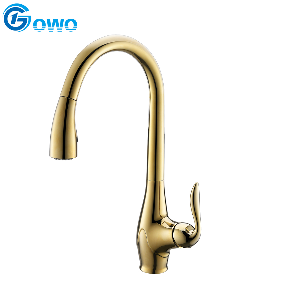 Luxury Gold Color Brass Pull-out Spray Two Function Kitchen Sink Faucet