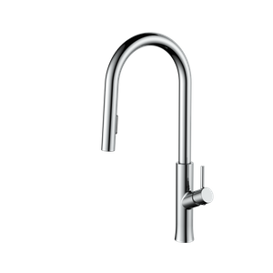 Super Chrome Kitchen Sink Faucet with Pull Down Sprayer