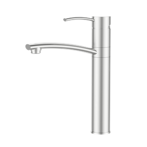 New Design Basin Faucet Brushed Nickel